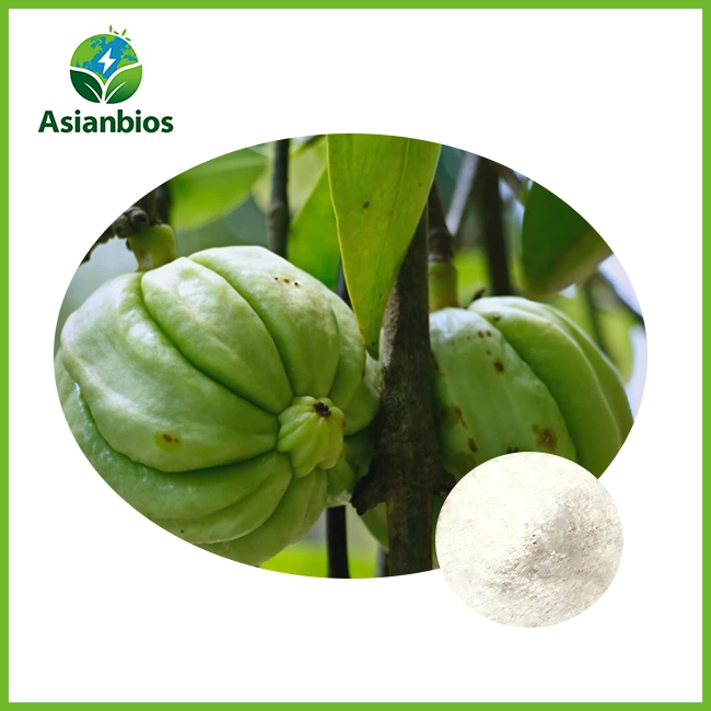 garcinia cambogia extract powder